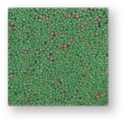 粒の分類検査の例。個々の粒を切り分けて種別ごとに数える